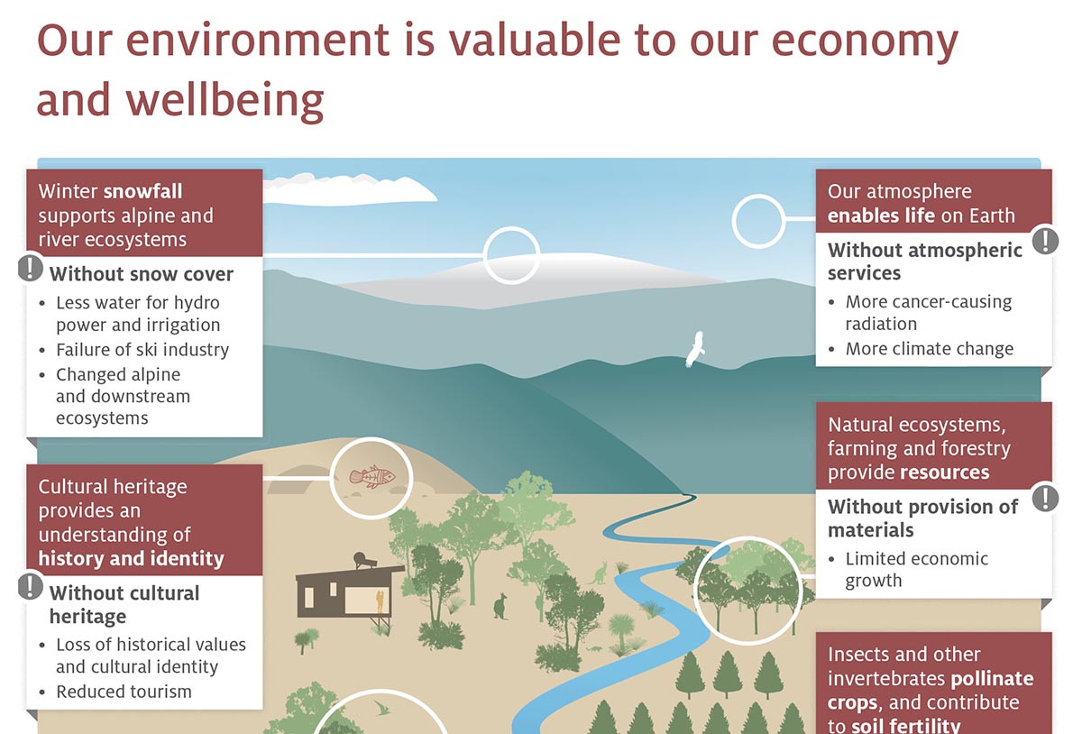 Communicating the state of the environment | Biotext