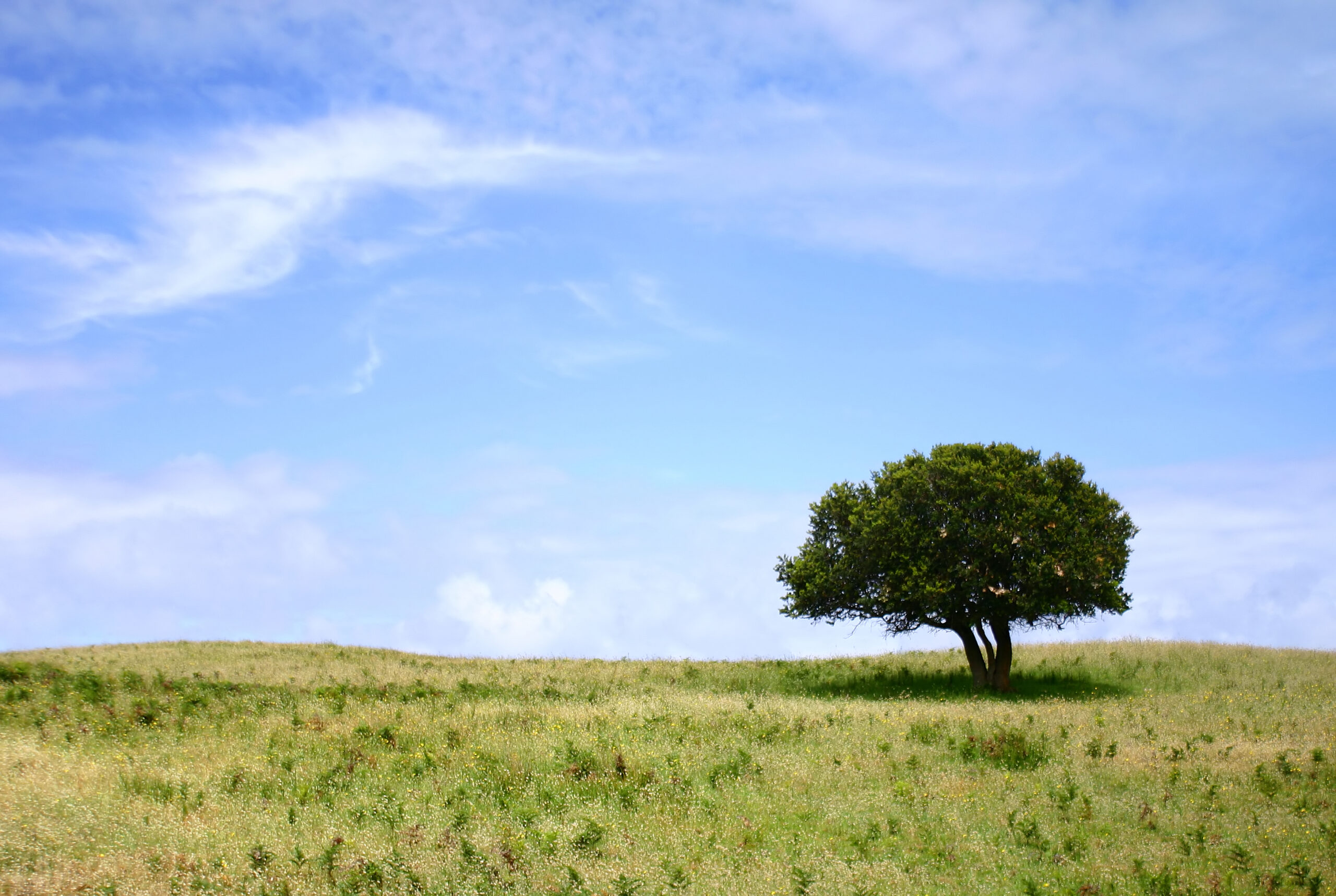 Exploring climate change science, information and resources